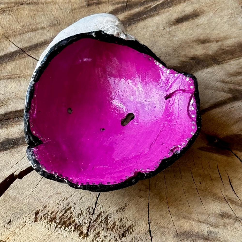 Vibrant Pink and‎ Black Decorative Seashell Bowl